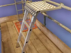 Scaff-Step