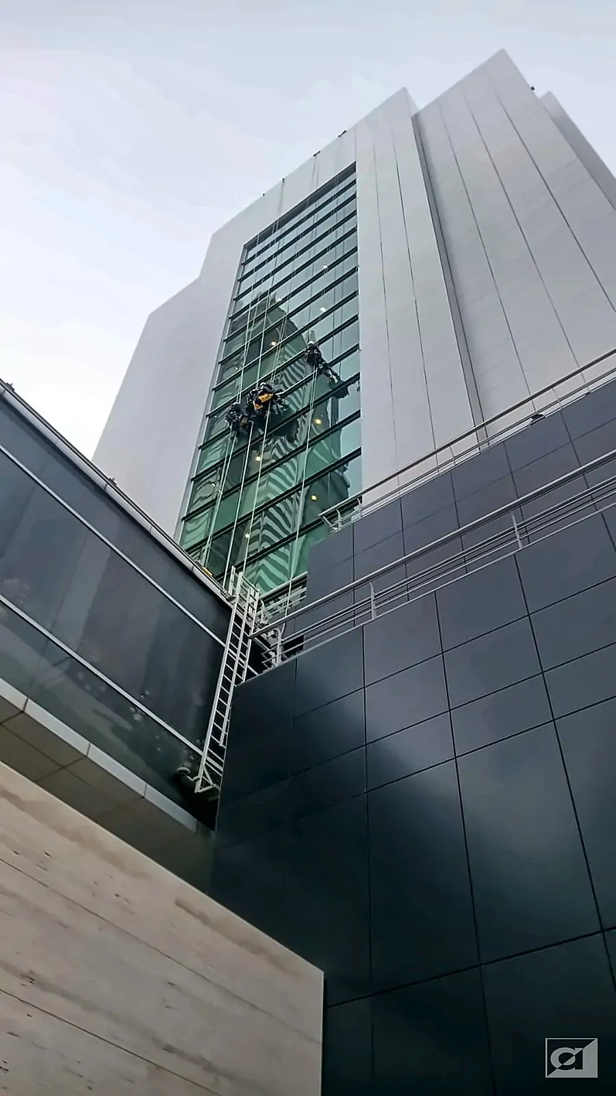 High-Rise Glass Façade – Allied Middle East rope access, Bahrain